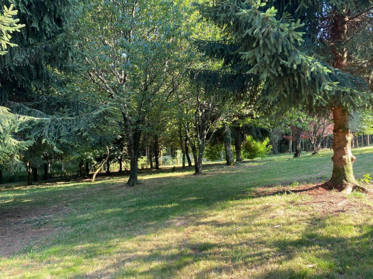 O Casal das Árbores Santiago de Compostela Exterior foto